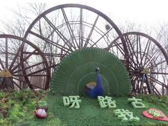 -呀路古热带植物园