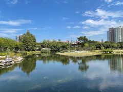 -四海公园(南山区)