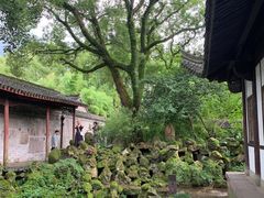 -天一阁博物院