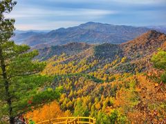 -五营红松林海景区