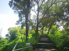 -金鸡山公园