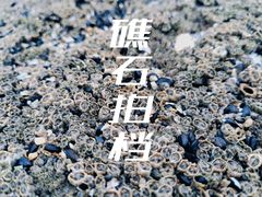 -日照灯塔风景区