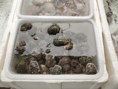 -外伶仃岛海鲜市场