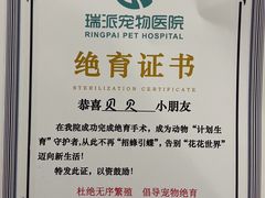 -瑞派动物医院·猫专科·至诚(江南中分院)