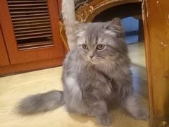 -万小咖.猫咖(中山路天虹店)