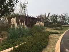 -盘龙城国家考古遗址公园