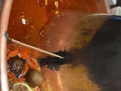 -东来顺铜锅炭火涮肉(上地华联店)