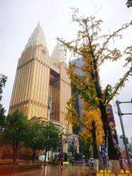 -大美臻喜母婴(重庆创始店)