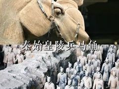 -秦始皇帝陵博物院(兵马俑)
