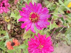 -永定河休闲森林公园