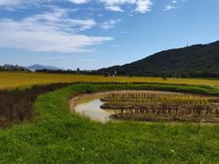-风云岭森林公园