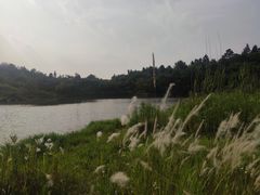 -南京市无想山景区