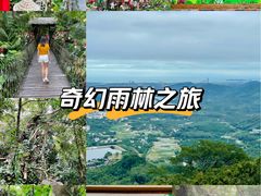 -呀诺达热带雨林