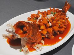 -新梅华(星悦汇店)