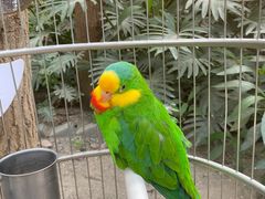 -南宫五洲植物乐园