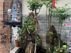 -丽江庭院之丽江往事(安定门店)