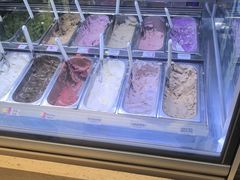 -鹤茶野所(上海首店)