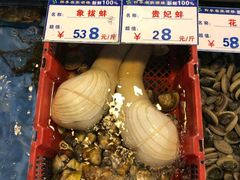 -四季大酒楼(白濠店)