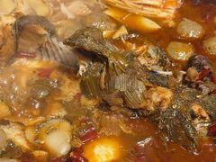 -新珠城鱼坊(龙湖店)