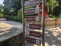 -保定市动物园