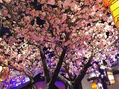 -绿茶餐厅(首开福茂店)