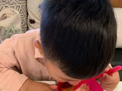 -MR鹅外