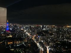 -六本木新城展望台(东京城市景观)
