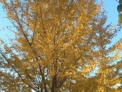 -苏州河梦清园环保主题公园