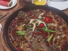 -老板恋上鱼(恒隆广场店)