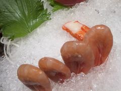 -吉兆·料理(红梅南路店)