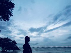 -宝安西湾红树林湿地公园