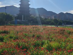 -门城湖公园