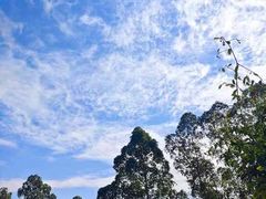 -火炉山森林公园