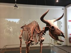 -丹麦国家博物馆