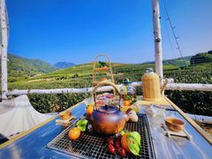 -龙坞茶村