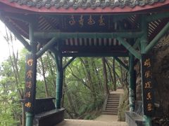 -子昂故里文化旅游区