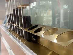 -雾与山茶(大禹城店)