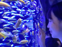 -成都浩海立方海洋公园