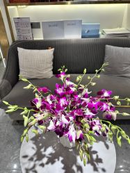 -MIDA蜜哒•科技逆龄美肤连锁