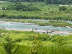 -绿堤公园
