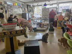 -平行世界·猫咖(首经贸店)