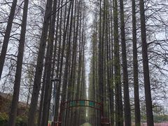 -金岛生态园烧烤露营地