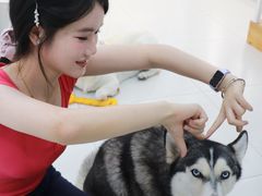 -汪说·狗咖·拼豆·宠物周边DIY(旺城大厦店)