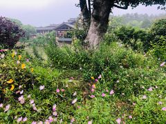 -黄陂区野村谷景区