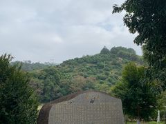 -国恩寺