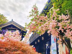 -茅山东方盐湖城景区