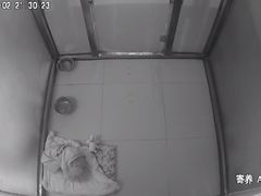 -趣玩宠物乐园寄养训犬训狗游泳池
