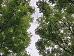 -宜兴龙背山森林公园