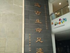 -中国地质大学逸夫博物馆