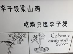 -李子坝梁山鸡(北碚万达五鸡哥店)